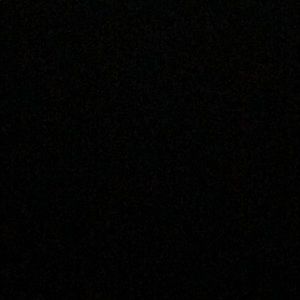 Meet your Posher, Ernesto